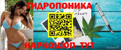 ALPHA-PVP Можга