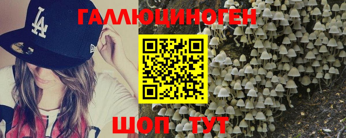 Ухта  Галлюциногенные грибы MAGIC MUSHROOMS  Вход с VPN 